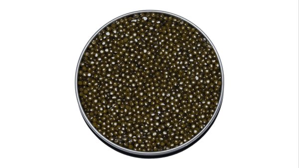 Classic Osetra - Image 3