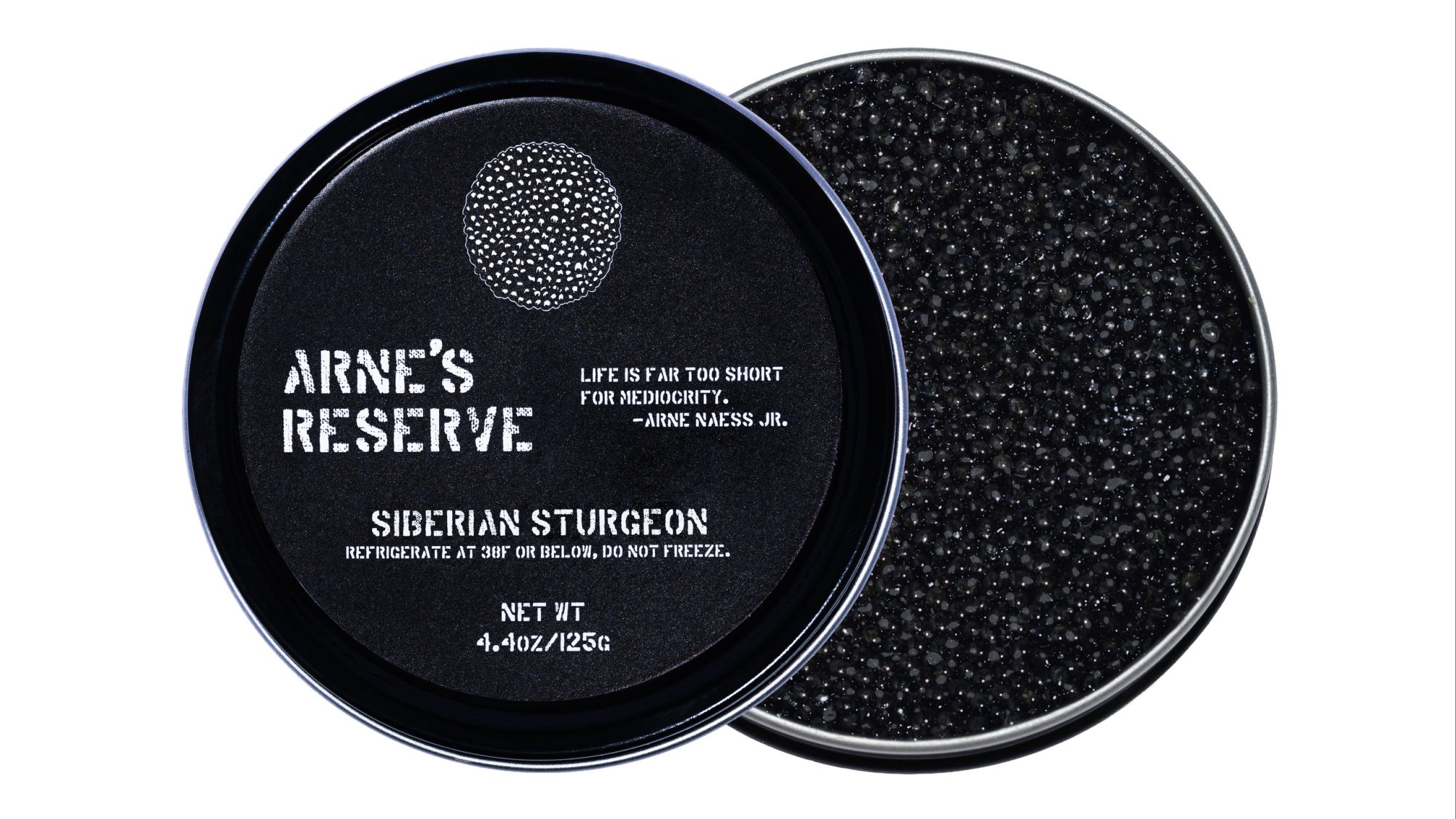 Siberian Sturgeon - Image 2
