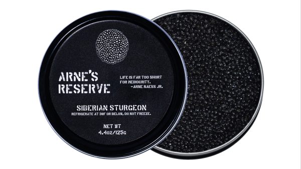 Siberian Sturgeon - Image 2