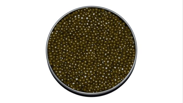 Imperial Osetra - Image 3
